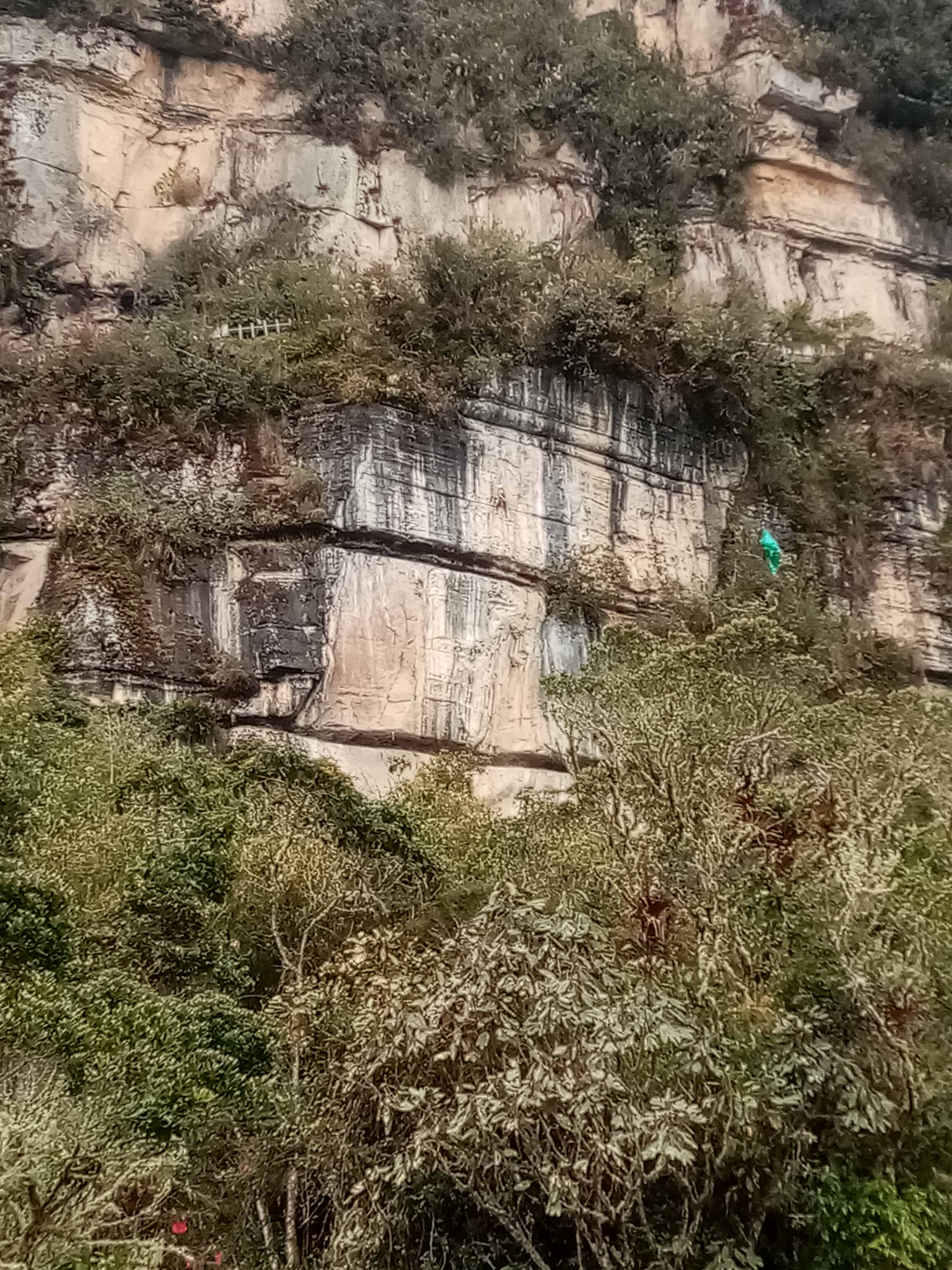Escalador asegurando